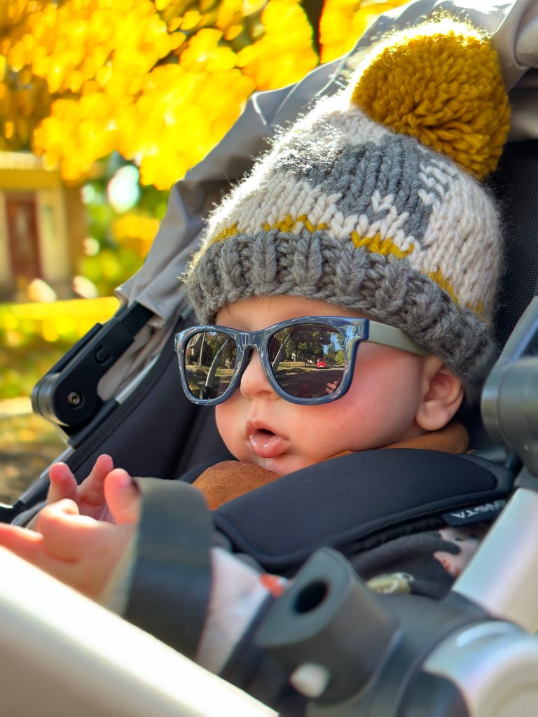 Passeggini per gemelli: comfort e praticità per una passeggiata in famiglia!